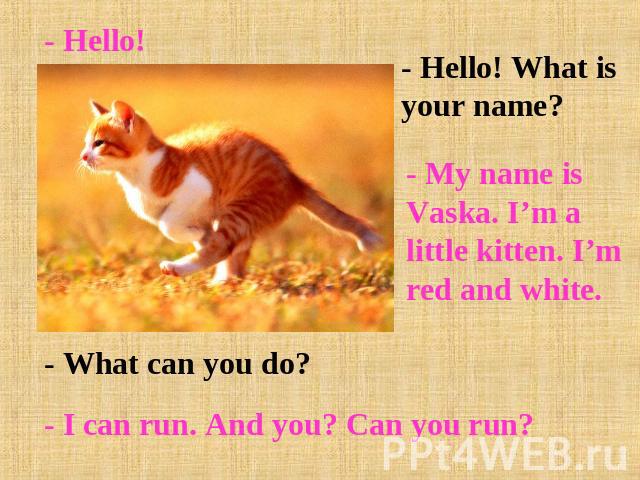 - Hello! - Hello! What is your name?- My name is Vaska. I’m a little kitten. I’m red and white.- What can you do?- I can run. And you? Can you run?