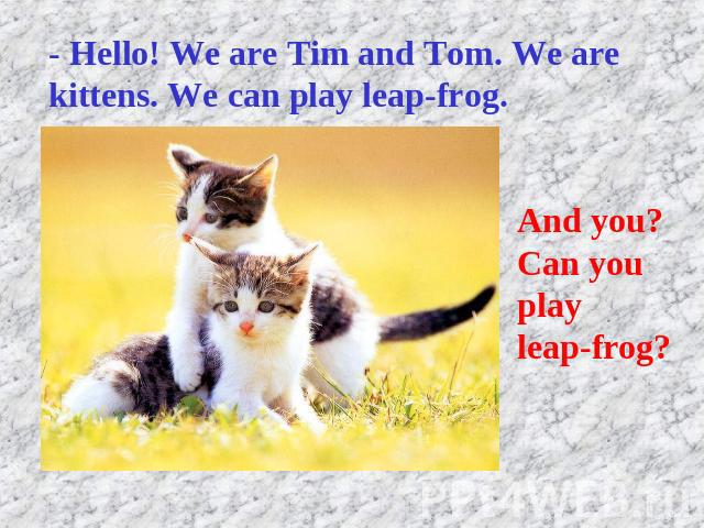 - Hello! We are Tim and Tom. We are kittens. We can play leap-frog. And you? Can you playleap-frog?