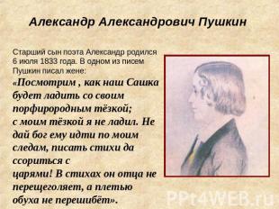Александр Александрович ПушкинСтарший сын поэта Александр родился 6 июля 1833 го