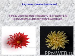 Ажурные цветы (квиллинг)Теперь цветочек можно наклеить на открытку или использов