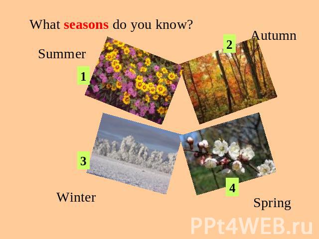 What seasons do you know? SummerAutumnWinterSpring