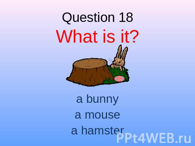 Question 18What is it? a bunnya mousea hamster