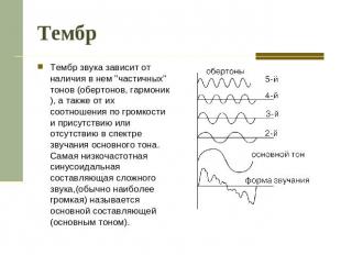Тембр Тембр звука зависит от наличия в нем "частичных" тонов (обертонов, гармони