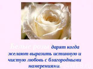 Белые розы дарят когда желают выразить истинную и чистую любовь с благородными н