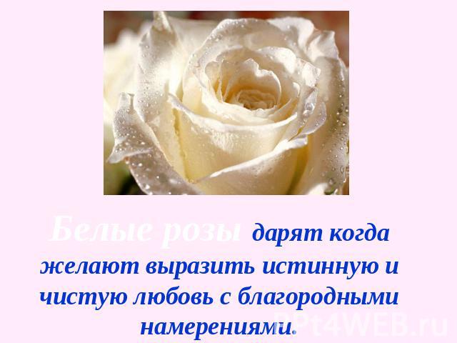 Белые розы дарят когда желают выразить истинную и чистую любовь с благородными намерениями.