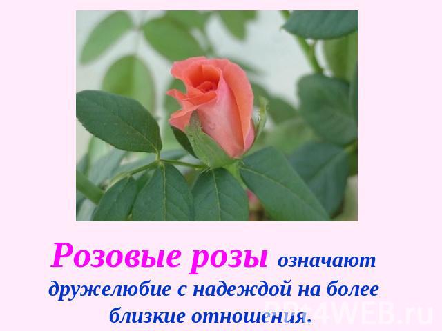Розовые розы означают дружелюбие с надеждой на более близкие отношения.