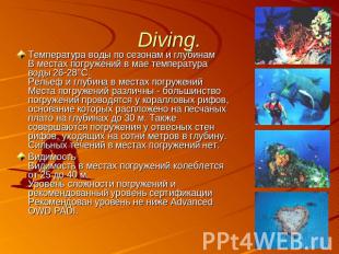 Diving. Температура воды по сезонам и глубинамВ местах погружений в мае температ