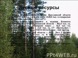 Лесные ресурсы Общая площадь лесного фонда Ярославской области составляет 1772,5