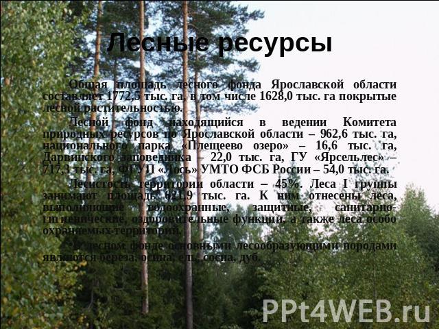 Лесные ресурсы Общая площадь лесного фонда Ярославской области составляет 1772,5 тыс. га, в том числе 1628,0 тыс. га покрытые лесной растительностью.Лесной фонд находящийся в ведении Комитета природных ресурсов по Ярославской области – 962,6 тыс. га…