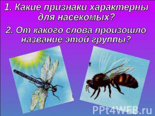 1. Какие признаки характерны для насекомых?2. От какого слова произошлоназвание