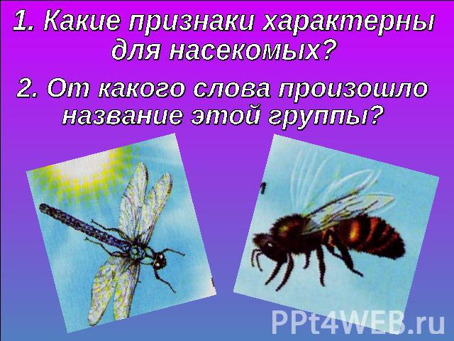 1. Какие признаки характерны для насекомых?2. От какого слова произошлоназвание этой группы?
