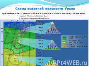 Схема высотной поясности Урала Практическая работа: Сравните и объясните различи