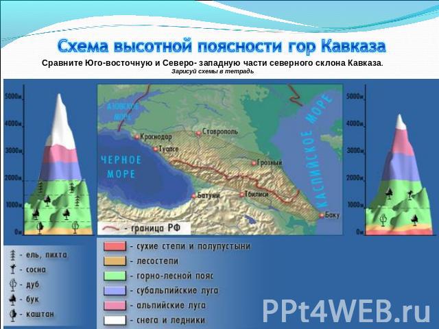 Схема высотной поясности гор Кавказа Сравните Юго-восточную и Северо- западную части северного склона Кавказа.Зарисуй схемы в тетрадь