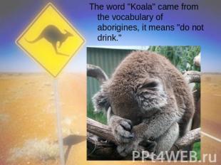 The word "Koala" came from the vocabulary of aborigines, it means "do not drink.