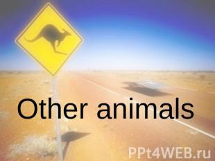 Other animals