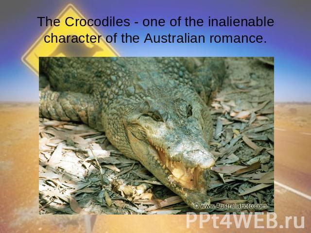 The Crocodiles - one of the inalienable character of the Australian romance.