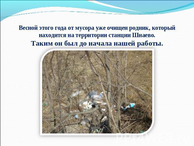 Весной этого года от мусора уже очищен родник, который находится на территории станции Шнаево.Таким он был до начала нашей работы.