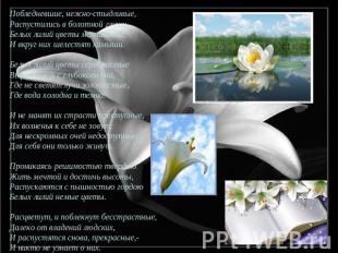Побледневшие, нежно-стыдливые, Распустились в болотной глуши Белых лилий цветы м