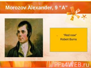 Morozov Alexander, 9 “A” “Red rose”Robert Burns