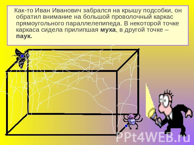 Как-то Иван Иванович забрался на крышу подсобки, он обратил внимание на большой проволочный каркас прямоугольного параллелепипеда. В некоторой точке каркаса сидела прилипшая муха, в другой точке – паук.