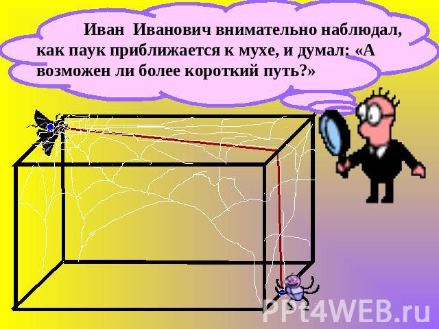 Иван Иванович внимательно наблюдал, как паук приближается к мухе, и думал: «А возможен ли более короткий путь?»
