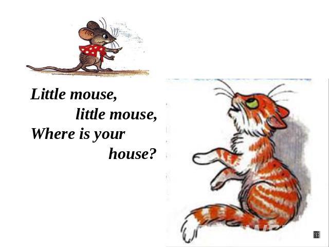 Little mouse, little mouse,Where is your house?