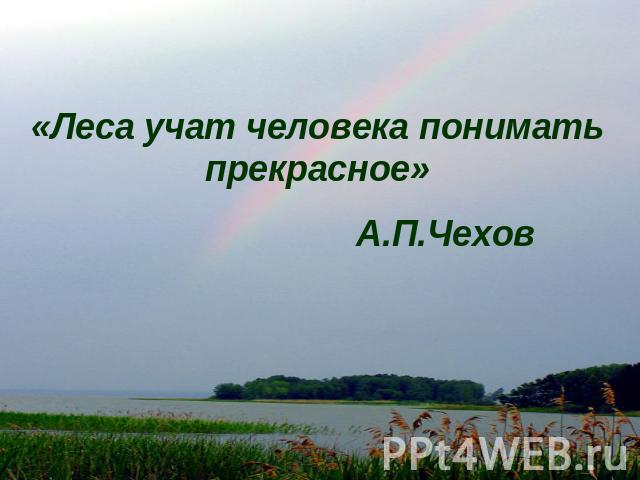 «Леса учат человека понимать прекрасное»А.П.Чехов