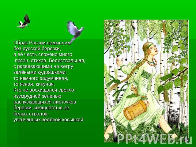 Образ России немыслим без русской берёзки, в её честь сложено много песен, стихов. Белоствольная, с развевающими на ветру зелёными кудряшками, то немного задумчивая, то ясная, кипучая. Кто не восхищался светло-изумрудной зеленью распускающихся листо…