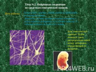 Тема №2. Нейронные соединенияпо средствам генетической памяти.Цель работы: Предс