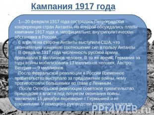 Кампания 1917 года 1—20 февраля 1917 года состоялась Петроградская конференция с