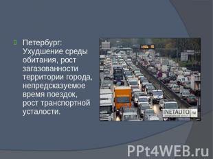 Петербург: Ухудшение среды обитания, рост загазованности территории города, непр