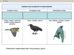 Напишите характеристики птиц разных групп
