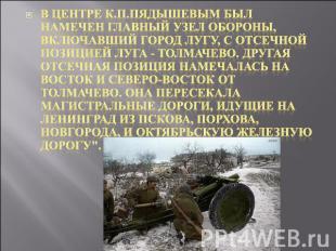 В центре К.П.Пядышевым был намечен главный узел обороны, включавший город Лугу,