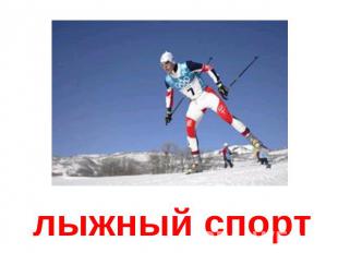 лыжный спорт