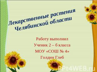 Лекарственные растенияЧелябинской области Работу выполнилУченик 2 – б классаМОУ