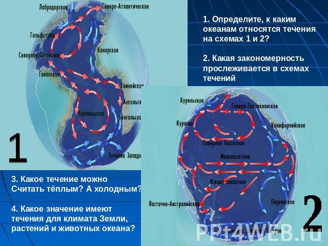 Какое из перечисленных океанических течений является теплым