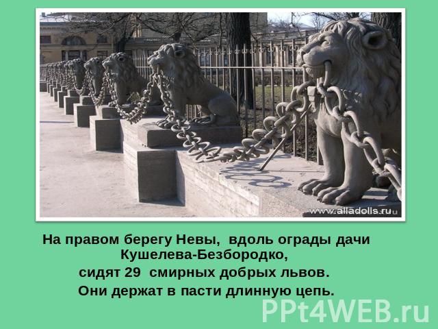 На правом берегу Невы, вдоль ограды дачи Кушелева-Безбородко, сидят 29 смирных добрых львов. Они держат в пасти длинную цепь.
