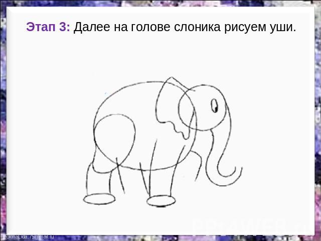 Этап 3: Далее на голове слоника рисуем уши.