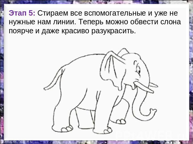 Этап 5: Стираем все вспомогательные и уже не нужные нам линии. Теперь можно обвести слона поярче и даже красиво разукрасить.