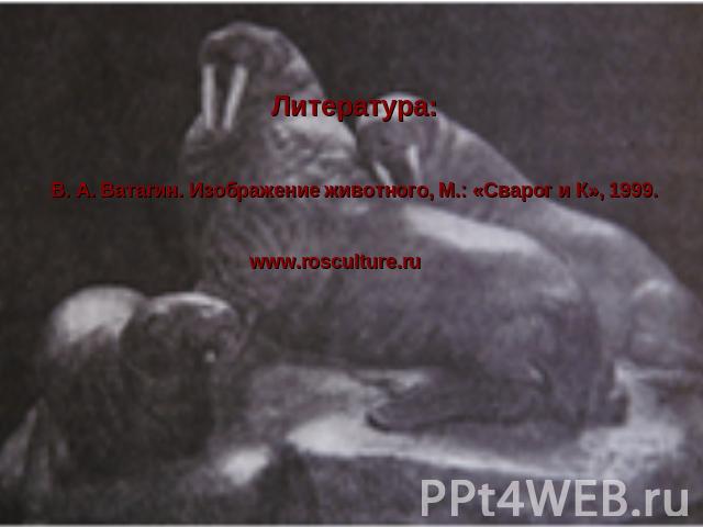 Литература: В. А. Ватагин. Изображение животного, М.: «Сварог и К», 1999.