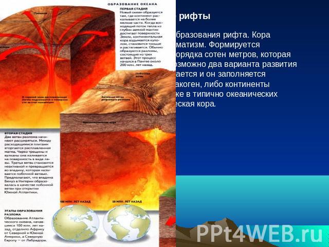 Континентальные рифты Раскол континента на части начинается с образования рифта. Кора утончается и раздвигается, начинается магматизм. Формируется протяжённая линейная впадина глубиной порядка сотен метров, которая ограничена серией сбросов. После э…