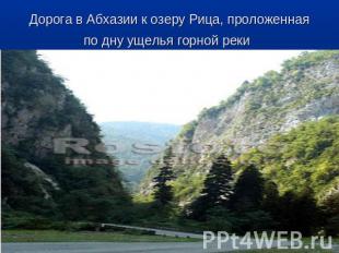 Дорога в Абхазии к озеру Рица, проложенная по дну ущелья горной реки