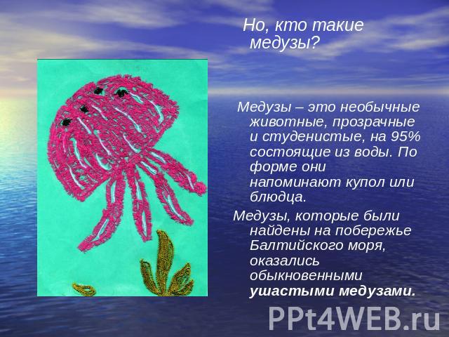 Но, кто такие медузы? Медузы – это необычные животные, прозрачные и студенистые, на 95% состоящие из воды. По форме они напоминают купол или блюдца. Медузы, которые были найдены на побережье Балтийского моря, оказались обыкновенными ушастыми медузами.