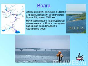 Волга Одной из самих больших в Европе и красивых русских рек является Волга. Её