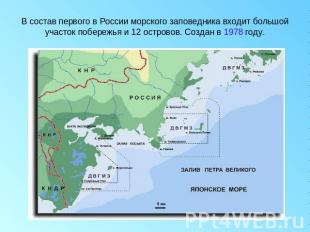 В состав первого в России морского заповедника входит большой участок побережья