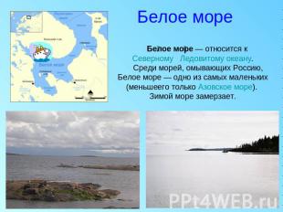 Белое море Белое море — относится к Северному Ледовитому океану. Среди морей, ом