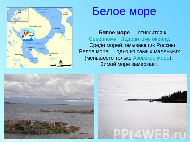 Белое море Белое море — относится к Северному Ледовитому океану. Среди морей, омывающих Россию, Белое море — одно из самых маленьких (меньшеего только Азовское море). Зимой море замерзает.