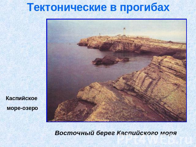 Тектонические в прогибах Восточный берег Каспийского моря