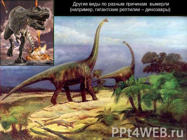 Другие виды по разным причинам вымерли(например, гигантские рептилии – динозавры)