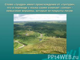 Слово «тундра» имеет происхождение от «тунтури», что в переводе с языка саами оз